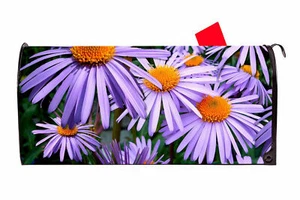 Daisy 1 Vinyl Magnetic Mailbox Cover Made in the USA - Picture 1 of 1