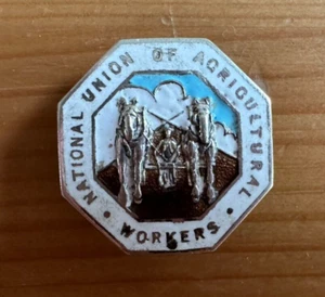NATIONAL UNION OF AGRICULTURAL WORKERS ENAMEL PIN BADGE (SILVER HALLMARK) - Picture 1 of 2