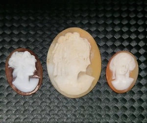 Mixed Natural Oval Carved Shell Cameo Lot - Picture 1 of 7
