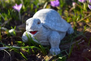 Gartenfigur Steinfigur Schildkröte lebensgroß massiver Steinguss wetterfest NEU - Bild 1 von 3