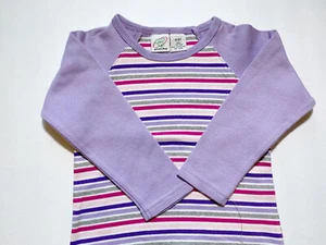 Camiseta Greendog Ropa Talla 4T Bebé Niña Púrpura a Rayas Raglan Mangas Largas NUEVA - Imagen 1 de 6