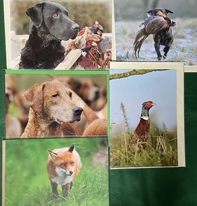 Country Sports. Fieldsports blank greetings cards Set Of 5 ( 1 Of Each Design) - Picture 1 of 6
