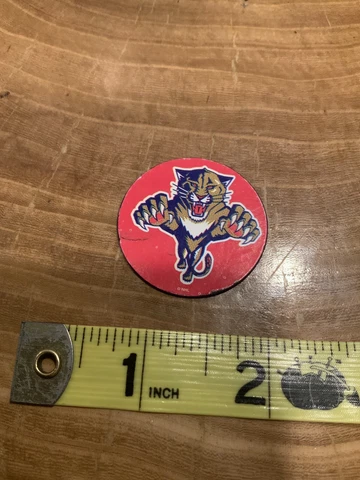 Vintage Florida Panthers Magnet NHL HOCKEY Cover
