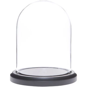 Plymor 4" x 5.25" Glass Display Dome Cloche (Black MDF Wood Base) - Picture 1 of 1