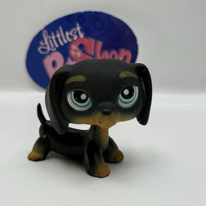DACHSHUND DOG #325 - Authentic Littlest Pet Shop - Hasbro LPS - Picture 1 of 4