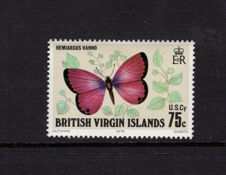 英属维尔京群岛 1978 75c 汉诺蓝色蝴蝶 Hemiagus Hanno MNH SG 395 — 第 1/1 张图片