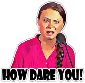 How dare you sticker Greta Thunberg skate cell laptop bumper vinyl decal - Picture 1 of 1