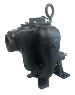 TerreMax 2 Inch Cast Iron Bearing Pedestal Pump with 3/4" Shaft - 200PBI - Image 1 of 4