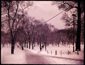 (1) LATE 1800s or EARLY 1900s GLASS NEGATIV:  STREET & PARK SCENE, SNOW UNKNOWN - Picture 1 of 2