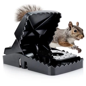 eXuby Squirrel Trap (2 pack) - Powerful Spring - 96% Instant Kill -Easy Setup - Picture 1 of 7