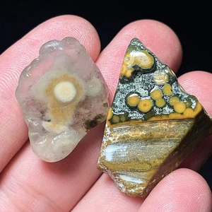 Rare 19G Natural Orbicular Ocean Jasper Rough Stone Healing Madagascar L6844 - Picture 1 of 4