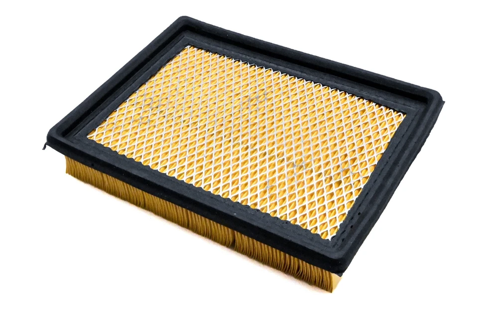 Filtro de ar Hastings AF209 NOVO NA CAIXA - Imagem 1 de 3