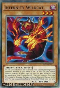 YUGIOH PHRA-EN017 Infernity Wildcat Common 1st Edition NM - Picture 1 of 1