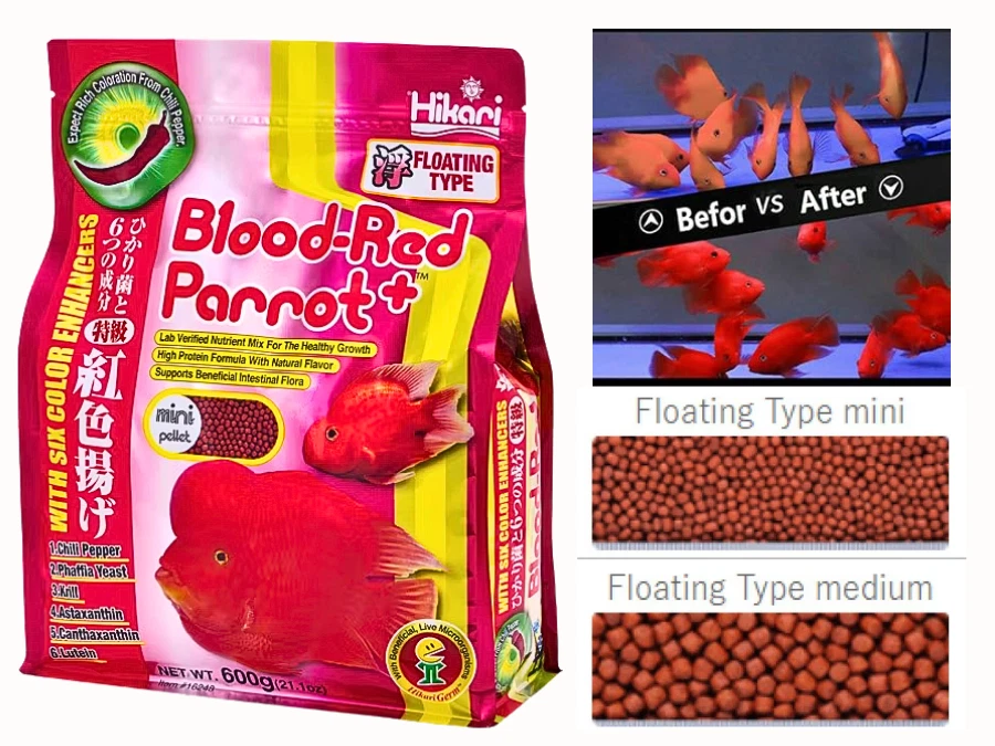 Hikari Blood Red Parrot Cichlid Food 600g Floating Mini Medium Color Enhancer - Image 1 of 4
