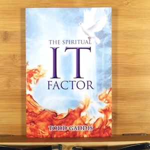 THE SPIRITUAL IT FACTOR by Todd Gaddis (2010 Trade Paperback) - Bild 1 von 7