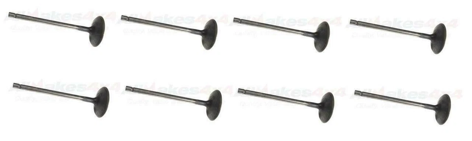 Juego de válvulas de admisión Land Rover Range LR4 RR Sport V8 5,0 L X8 LR010699 NUEVO Foto 1 de 2