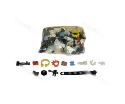 LADA 2104; 2105;2107 (SET) CLIP DE CUERPO Y SUJETADOR/(SET) CLIP AJUSTES LADA 2107 Foto 1 de 2