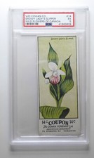 1924 V20 Cowan Co. Wild Flowers of Canada #14 Showy Lady's Slipper PSA 5