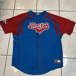 Rare Pedro Martinez NEW YORK METS NIKE JERSEY DOMINICAN REPUBLIC FLAG SEWN L #45 - Picture 1 of 14