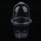 5Pcs Plant Nursery Pot Transparent Plastic PET Seed Stater Cups with Cover ny