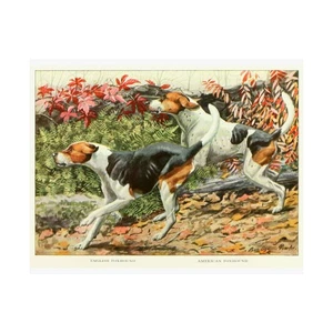 Arte de pared ENGLISH FOXHOUND AMERICAN FOXHOUND, regalo para amantes de los perros - Imagen 1 de 6