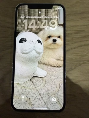 Apple iPhone 12 Pro 128GB Silber ohne Simlock - Bild 1 von 4