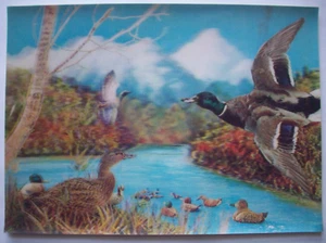 Postal 3D lenticular vintage familia ánade real de patos en estanque - Imagen 1 de 2