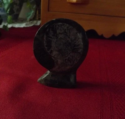 Polished Fossil. Interesting Decoration - Image 1 of 3