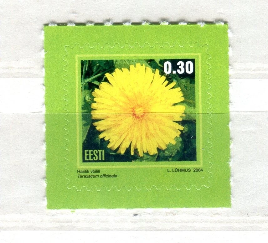 EST_303- 2004 Estonia flores FLORA MNH Foto 1 de 1