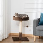Small Indoor Cat Tree with Sisal Scratching Post Kitten Bed Ball Toy, Brown