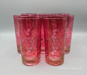 Vintage 8er Set Böhmische Preiselbeere Glas Becher 5,5" hoch, Trauben & Blätter geätzt - Bild 1 von 10