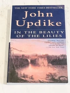 John Updike In der Schönheit der Lilien Taschenbuch - Bild 1 von 1