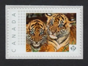 CACHORROS DE TIGRE = gatos salvajes = sello postal con foto = MNH Canadá 2015 [p15/11cu2/2] - Imagen 1 de 2