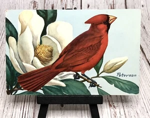Cardinal (Richmondena Cardinalis) Songbird, Roger Tory Peterson Postcard - Picture 1 of 4