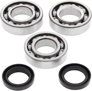 Kit cuscinetti albero motore racing compatibili con/per Polaris 300 2X4 94-95, 300 4 - Foto 1 di 1
