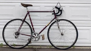 MEDICI PRO STRADA Bicycle 61cm Vintage Campagnolo Nuovo Record | Dura Ace - Picture 1 of 17