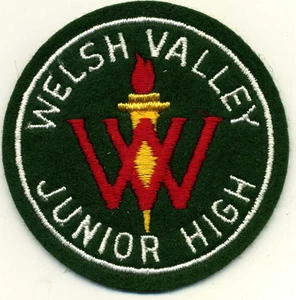Parche vintage de 3,5" de Welsh Valley Junior High School - Imagen 1 de 1