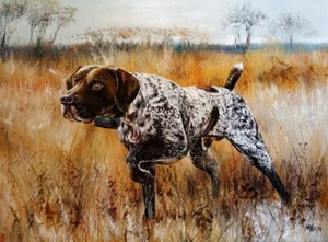 Painting "Kurzhaar "/Art collection/oil/painting/handmade - Picture 1 of 2