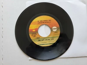 NEW COLONY SIX - If You Could See / Roll On 1971 POP PSYCH Sunlight Records vg+ - Imagen 1 de 2