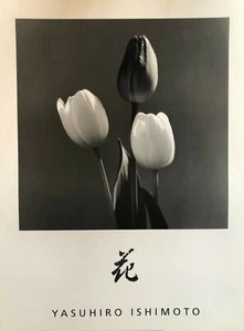 Tulips by Yasuhiro Ishimoto (60cm x 80cm, Black & White Art Photography) - Picture 1 of 1