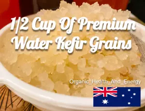 1/2 Cup Of ORGANIC Water Kefir Grains + FREE INSTRUCTIONS, RECIPES & SHIPPING! - Picture 1 of 8