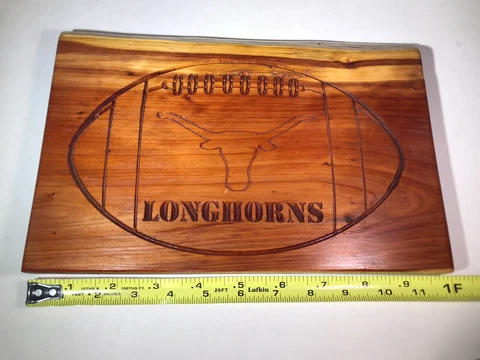 Texas Longhorns Fan Wall Art Hand Made Wooden Plaque Wood Football College 12x8 Cover