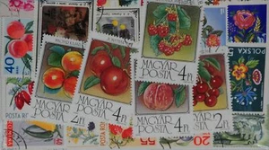 Fruits 50 Stamps (M167) - Picture 1 of 1