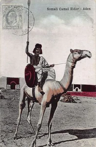 SOMALIA - Somali Camel Rider in Aden - Publ. I. Benghiat Son - Picture 1 of 2