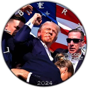 Donald Trump Fighter 2024 1 oz $1 American Silver Eagle Colored Coin - Limit 100 - Picture 1 of 13