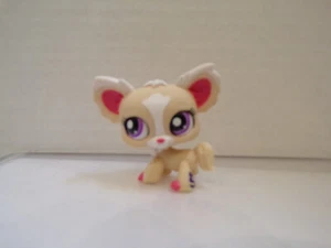 Littlest Pet Shop~#1892~Chihuahua~Cachorro de perro~Blanco crema beige~Ojos de punto púrpura - Imagen 1 de 6