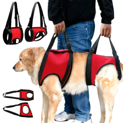 Dog Support Rehabilitation Harness Rear/Front Leg Recovery Auxiliary Lift Vest - Image 1 of 4