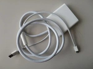 Apple Dual Link Adapter A1306 - mini DisplayPort to DVI für Cinema Display 30" - Afbeelding 1 van 4