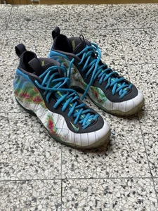 Nike Air Foamposite One Weatherman ‘13 Retro Penny Size 10.5 - Bild 1 von 12