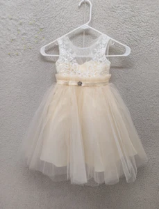 Miama Girls Dress 3 Champagne Pink Lace Tulle A Line Wedding Flower Girl Fairy - Picture 1 of 19